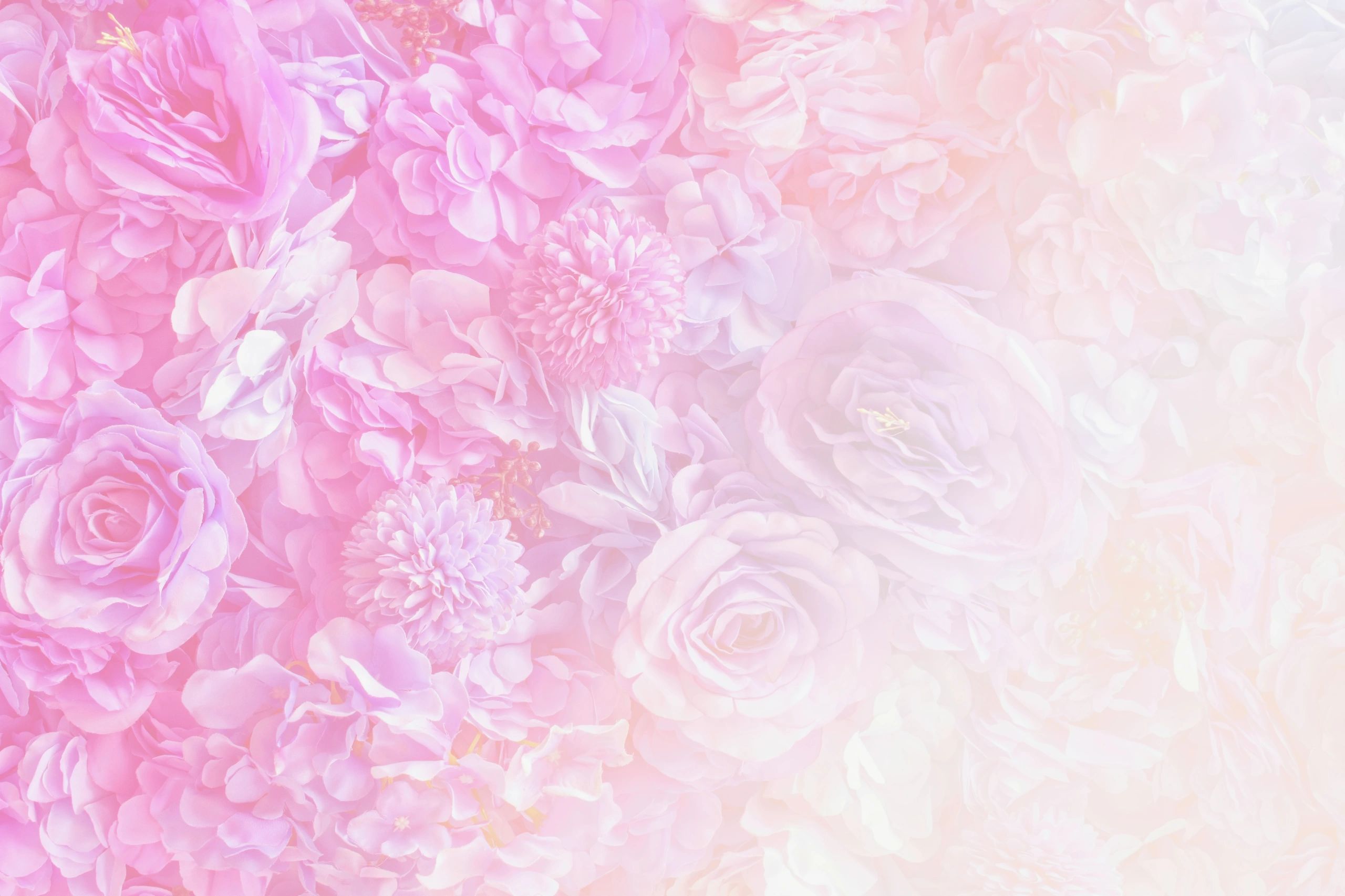 Pastel roses with soft romantic tones