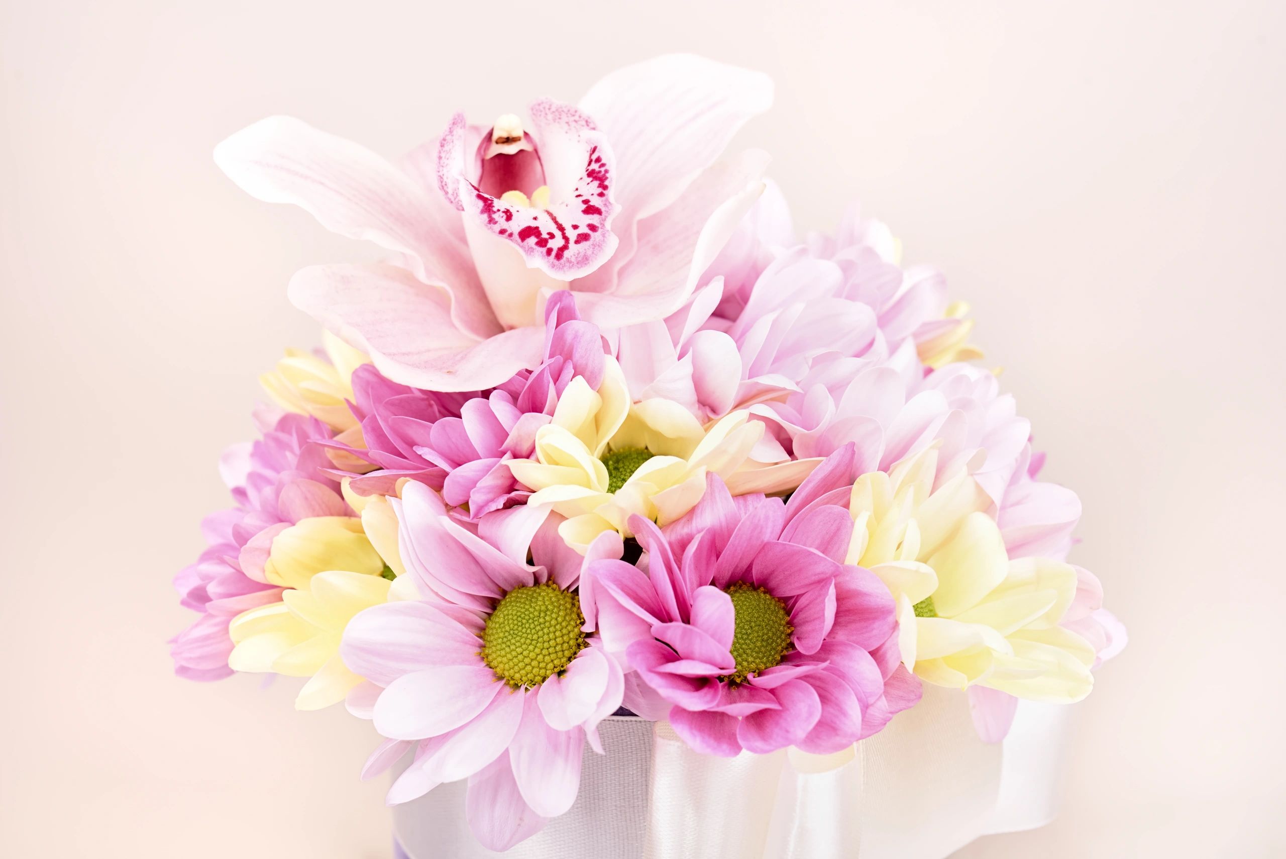 Bouquet of various flowers close-up